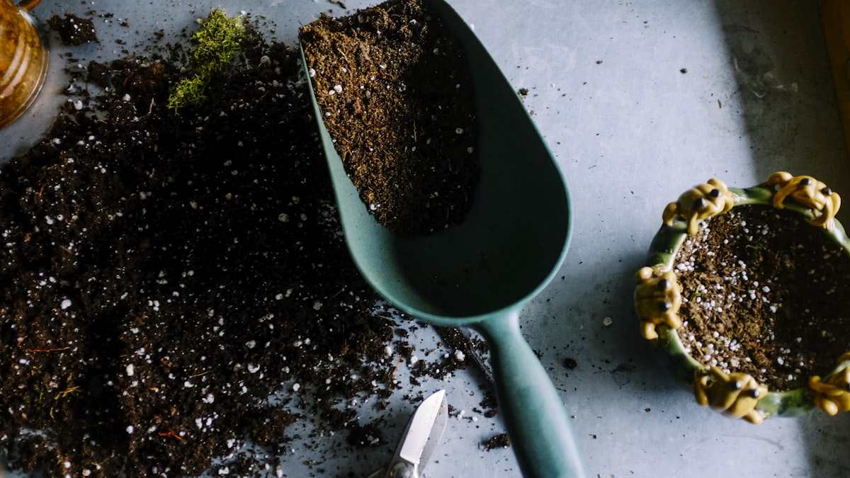 AgriTech et FoodTech : comment la France cultive discrètement l'un de ses plus beaux atouts technologiques
