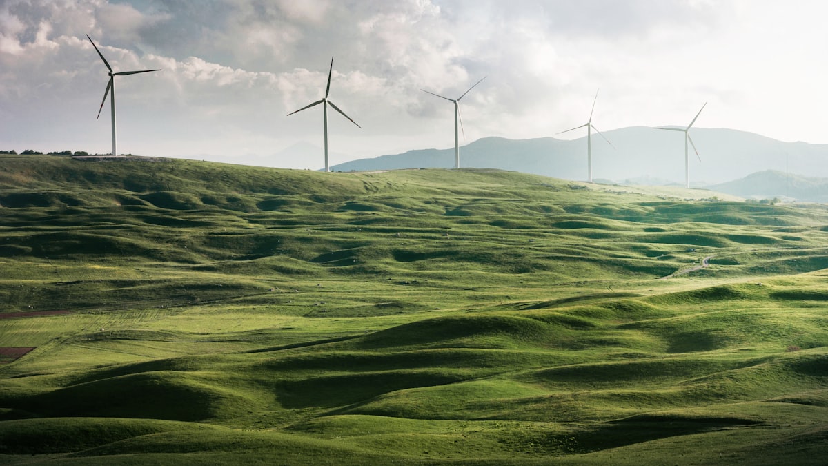 Éoliennes, panneaux solaires et gigafactories de batteries : la greentech française s'ancre dans des territoires industriels bien concrets.